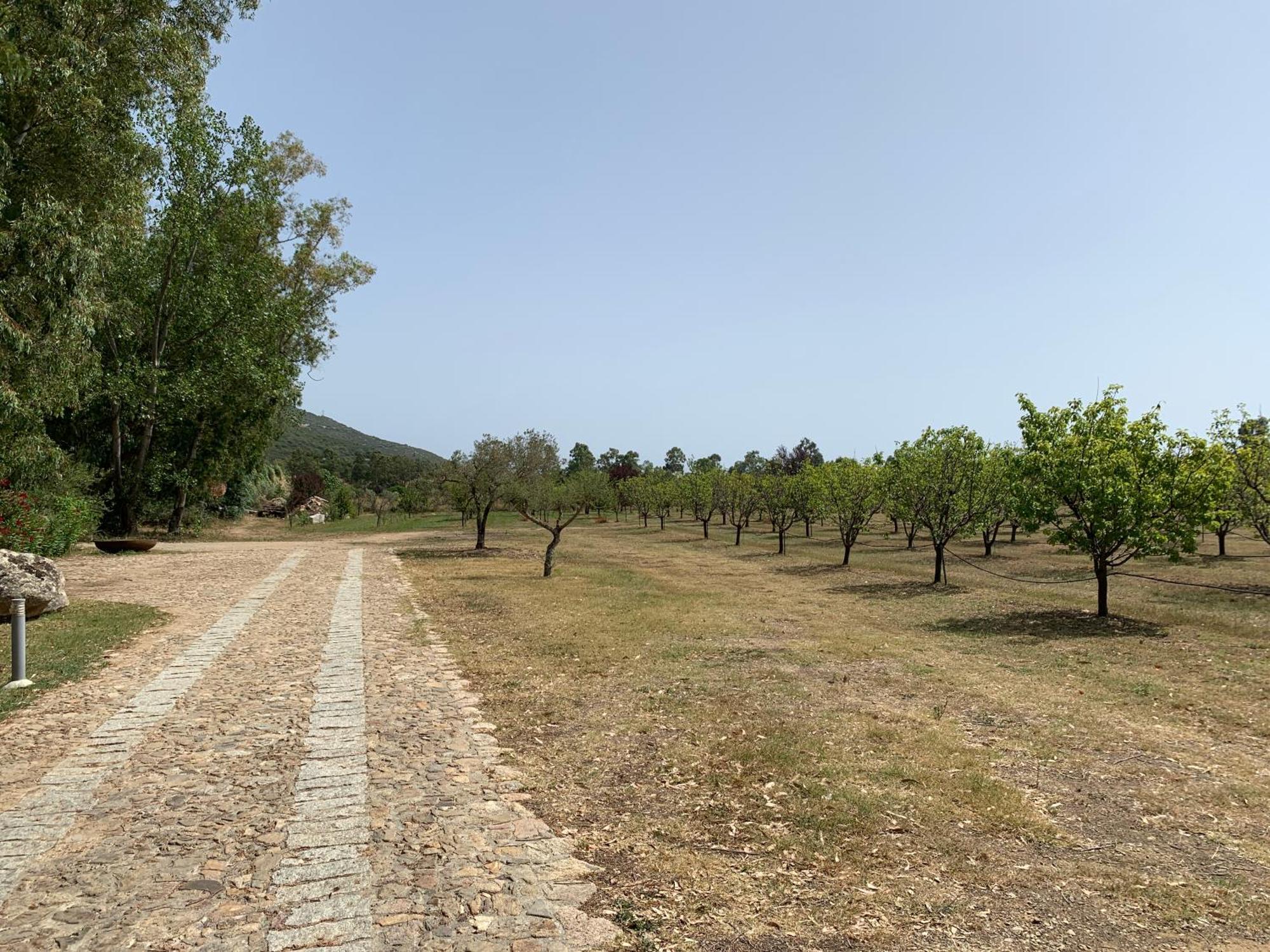 Relais Benemari Villa Siniscola Buitenkant foto
